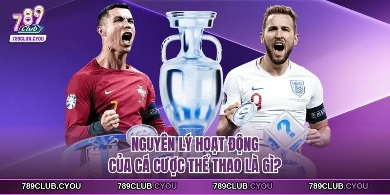Nguyên lý hoạt động của cá cược thể thao là gì?
